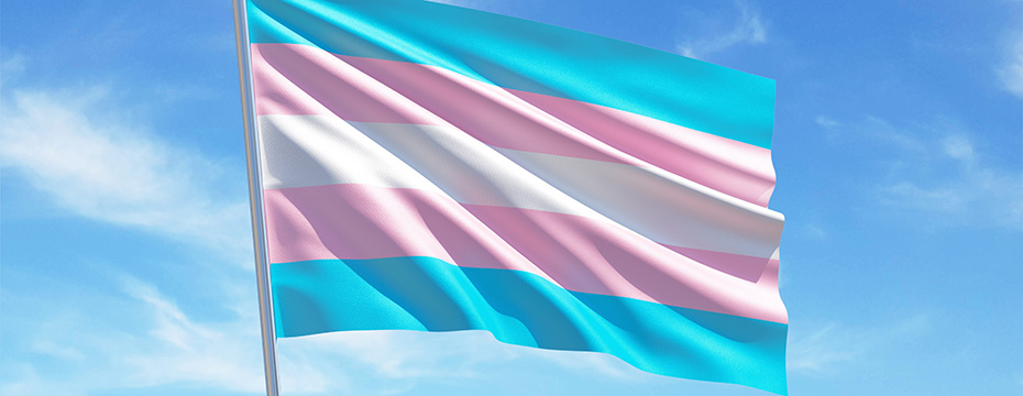 Transgender flag