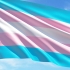 Transgender flag